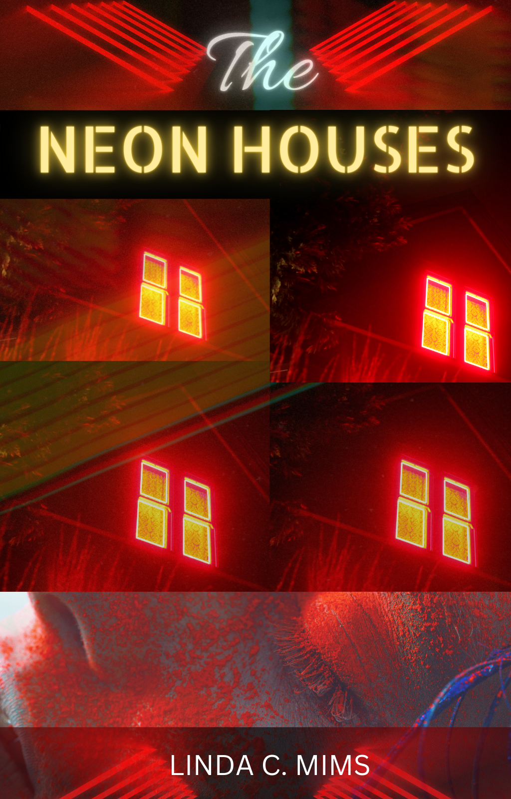 THE NEON HOUSES by Linda C. Mims .PNG 1024 x 1600